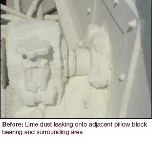 Lime dust leaking from bucket elevator onto adjacent pillow block bearing and surrounding area